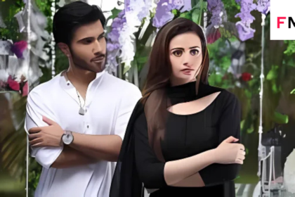 Discover the talented cast of Titli Pakistani drama cast, featuring Hania Amir, Ali Abbas, Emmad Irfani, and more. Explore their powerful performances and roles!